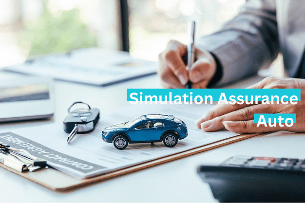 simulation assurance